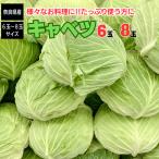 キャベツ 奈良県産 6玉から8玉入り