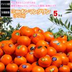 みかん ミニオンマンダリン タンゴ 甘い 約5ｋｇ ダブルマーコット 50個前後