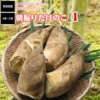 たけのこ 筍 真竹 まだけ 奈良県産 約2ｋｇ