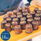 母の日 ミニカヌレ 16個入 （2個入×8セット）スイーツ 焼き菓子 お菓子 洋菓子 お祝い 贈答品 ギフト プレゼント LE GRAND BLEU 送料無料