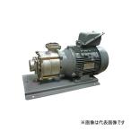 ●テラル ポンプ【NX501-61.5-e】60Hz 渦