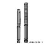 ●テラル ポンプ【65MSUS6-65.5-5】60Hz 深井戸水中ポンプ 井戸径150mm(6インチ) ステンレス鋳物製 三相200V 5.5kW MSUS型〔HE〕