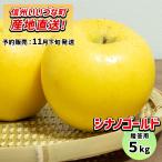 りんごシナノゴールド5kg予約販売...