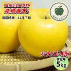 りんごシナノゴールド5kg予約販売...