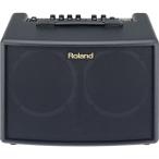 Roland AC-60[Acoustic Chorus] ローランド
