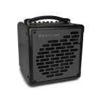 Henriksen Amplifiers The Blu SIX 【Bluetooth】（ヘンリクセン）