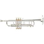 Stomvi stone bi/ ELITE DA33 S [Bb trumpet ]