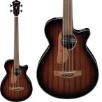 Ibanez AEGB24FE-MHS [SPOT MODEL]