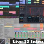 ableton 【エイブルトンブラックフライデーキャンペーン！】Live 12 Intro (代引不可)(オンライン納品)