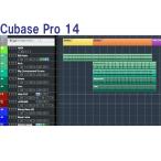 Steinberg Cubase Pro 14 [ ограниченное количество сверхнизкая цена!]( online поставка товара )(DAW soft )( старт Inver g)( кий основа )
