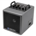 PJB(Phil Jones Bass) NANOBASS X4 (Carbon Silver)