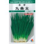 takii вид рассада лист лук-батун вид 9 статья futoshi GF( маленький пакет )