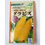 雪印種苗 トウコロコシ 種 グラビス