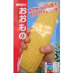 ナント種苗 トウモロコシ 種 おおもの 200粒