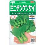 sakata. tane Mini бок-чой автомобиль o Pao реальный . маленький пакет 