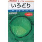 ka кошка вид рассада капуста вид .... маленький пакет 