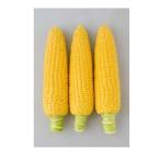  кукуруза ( сладкий кукуруза ) вид . тяпка . кукуруза 82 примерно 180 шарик 