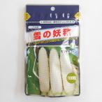 とうもろこし 種 雪の妖精 100粒 トーホク