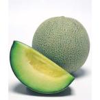 takii вид рассада дыня вид хлеб na100 шарик 