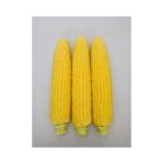  кукуруза ( сладкий кукуруза ) вид . тяпка . кукуруза 88 2000 шарик 