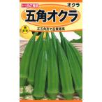 トーホク オクラ 種 五角オクラ 小袋