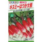 トーホク はつか大根 種 キスミーはつか大根　