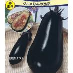 to- ho k баклажан вид .... стейк баклажан маленький пакет 