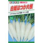 トーホク 野菜種 白姫はつか大根　