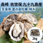 長崎県 九十九島産 岩牡蠣 2kg 佐世保 生食用 特大 毎週金曜日発送 送料無料(※一部地域加算あり)