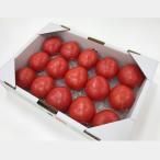 フルーツトマト　Ａ品【Lサイズ】　約1.2kg