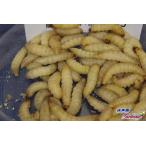 ハニーワーム　Mサイズ　200匹入り