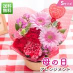 早割 母の日 2026 プレゼント 花 ギフト 母の日アレンジメント Sサイズ カーネーション ガーベラ 母の日ギフト 生花 花ギフト 50代 60代 70代 80代 FKHH