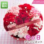 早割 母の日 2026 プレゼント 花 ギフト 母の日ケーキアレンジ カーネーション カスミソウ 母の日ギフト 生花 花ギフト 50代 60代 70代 80代 FKHH