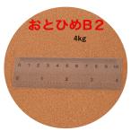日清丸紅飼料 おとひめB2 2kg×2袋(4kg) (0.36〜0.62mm) メダカ、金魚、熱帯魚の餌に 宅急便配送