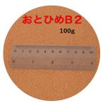 おとひめB2100g沈降性めだかの...