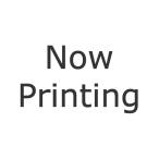 亀田製菓 春のつまみ種 90g×12袋（