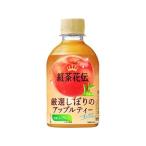 コカ・コーラ 紅茶花伝 厳選しぼりのアップルティー P280ml×30本（3月中旬頃入荷予定）