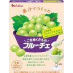 ハウス ご当地フルーチェ 山梨シャインマスカット 10個