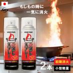 消火スプレー 火消しスプレー 2本セット 日本製 消火具 消火器 スプレー 住宅用 家庭用 小型 防災 火災 火事 火消し 防災グッズ 防災用品 丸山製作所