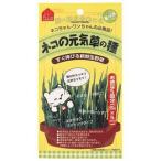 ペティオ ネコの元気草の種 15g×5包入り