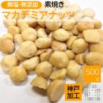 マカダミアナッツ 500g 無塩 ロースト加工(マカデミアナッツ)ナッツの王様 ジッパー袋入り