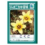 ノート 学習帳 国語 ジャポニカ学習帳 こくご 10マス ショウワノート