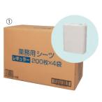  для бизнеса простыня (2) широкий размер (100 листов ) Sano Tec 