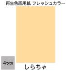 画用紙 色画用紙 フレッシュカラー 四ツ切 100枚 しらちゃ 単色まとめ買い 四つ切り 大王製紙