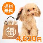 犬 おやつ 夏の福袋2022年 送料無料 無添加 10品セット サンキューバッグ