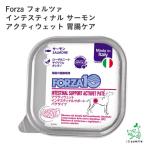 FORZA10 лечебное питание еда Forza 10 Inte стойка naru salmon Acty мокрый .. уход 100g/ собака .. . капот отметка использование пробный товар образец 