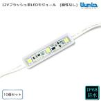  наличие товар flash type LED модуль DC12V белый 3 лампочка модель 10 шт. комплект 