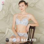 heaven japan ヘブンジャパン ブラ ジャー 育乳 脇高 脇肉 大きい サイズ 補整 補正 下着 女性 谷間 バスト 贅沢脇肉キャッチャー セット 爆買