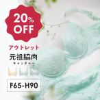 ブラジャー アウトレット 元祖脇肉キャッチャー heaven japan ヘブンジャパン 脇高 補整下着 脇肉 育乳 補正 補整 背中 ブラ 谷間 痩せ見え 大きいサイズ
