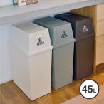ゴミ箱45リットル分別キッチン大容...